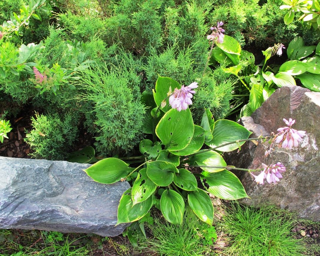 Проект Троицкое